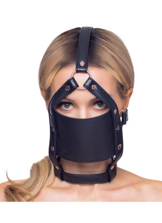 head harness with a gag